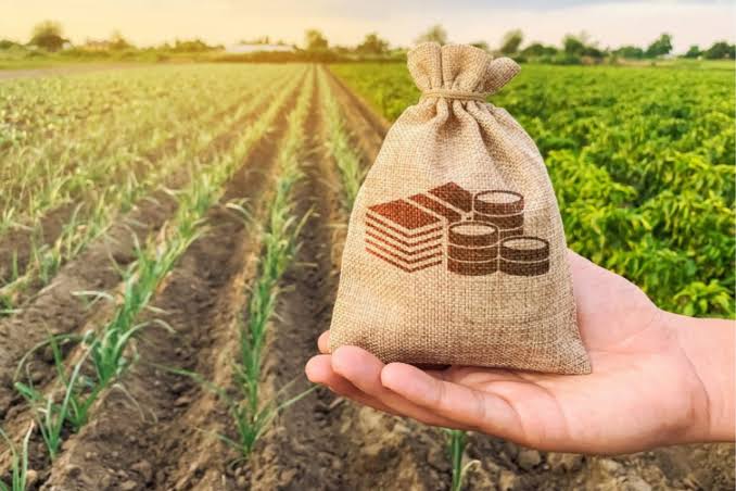 Cédula de Produto Rural (CPR): cuidados jurídicos antes de assinar